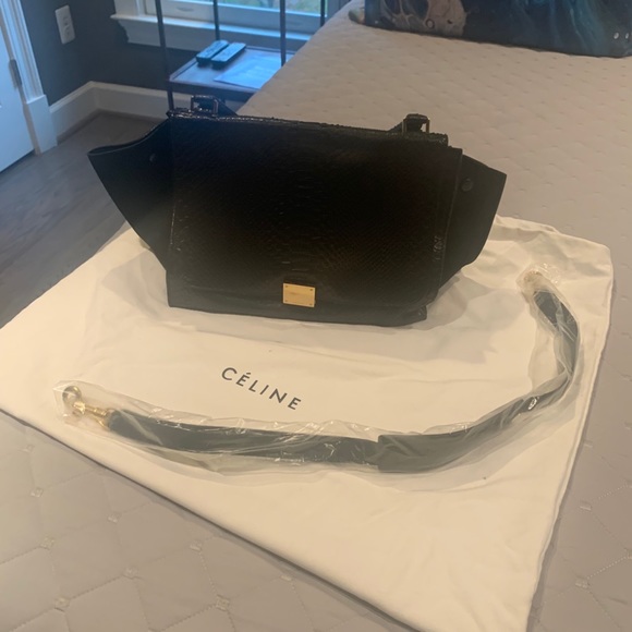 Celine Trapeze Bag Black, Skin, and Suede - Picture 3 of 11